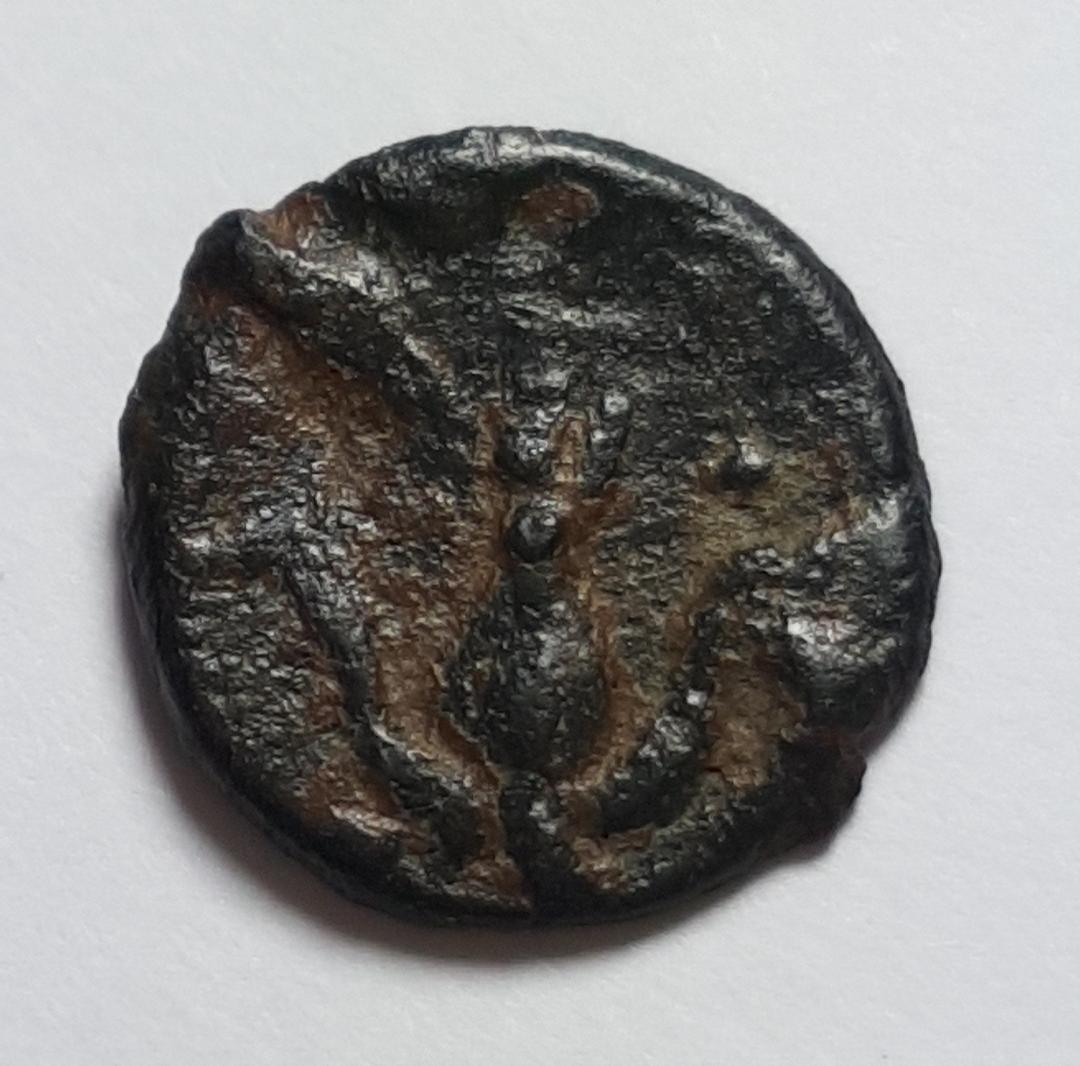 Greek-Coin-Identification!